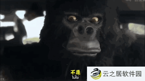 论搞抽象玩暧昧，泰国居然领先国内互联网这么多？